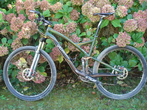 Specialized Stumpjumper 29er