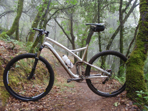Specialized Stumpjumper 29er