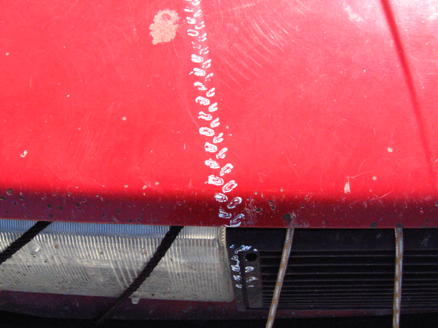 conrad-stoltz-red-rocket-tire-tracks