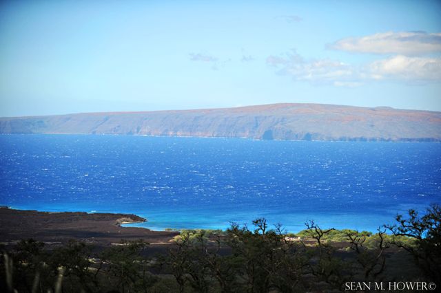 xterra-world-champs-bike-view