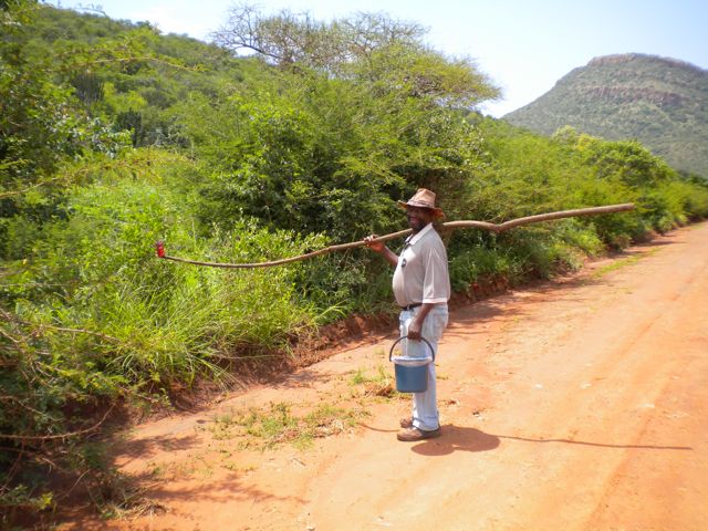 Conrad Stoltz South Africa training. Prickly Pear picker