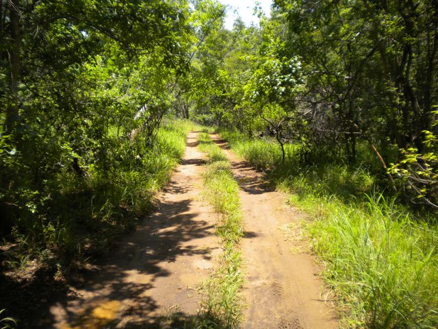 Conrad Stoltz Farm driveway