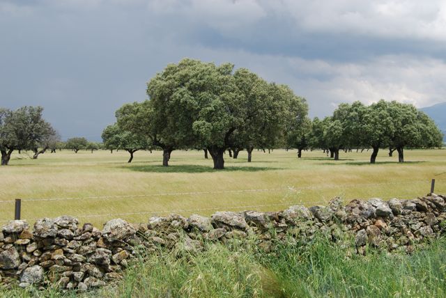 extremadura-country-side-conrad-stoltz