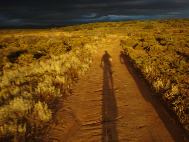 stoltz-honeymoon-ii-karoo stoltz-honeymoon-ii-karoo