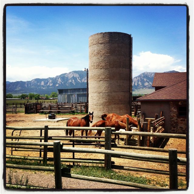 conrad-stoltz-boulder-road-ride