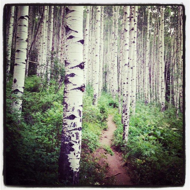 conrad-stoltz-xterra-colorado-run-course