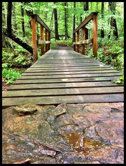 xterra-alabama-bike-oak-mountain-state-park