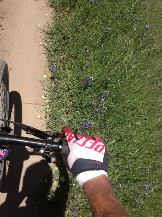 Conrad Stoltz Sea Otter with 5 stitches in hand