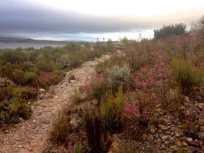 Conrad Stoltz Caveman XTERRA Grabouw run course