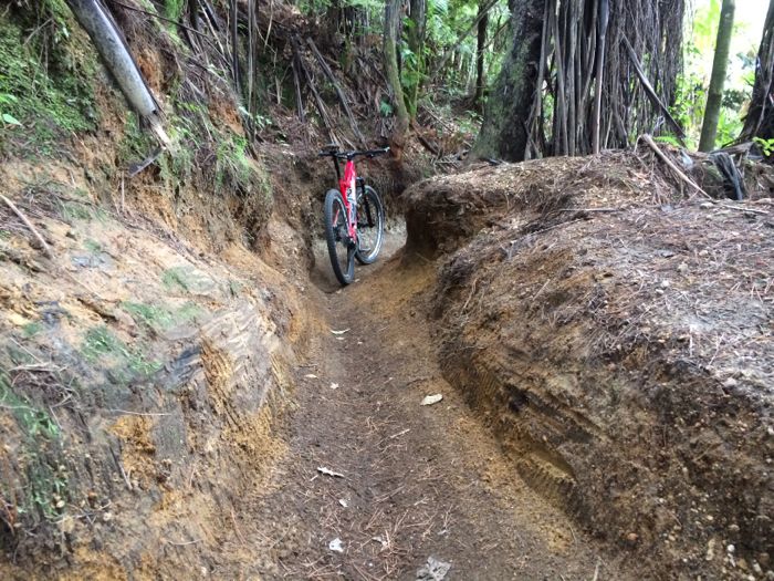 Conrad Stoltz XTERRA New Zealand Rotorua Billy T single track groove