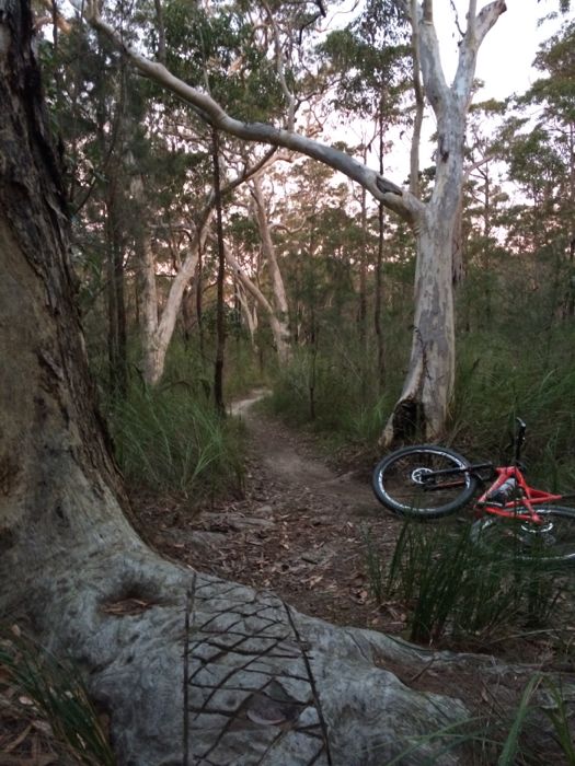 Conrad Stoltz Caveman XTERRA Asia Pacific Champs Australia Specialized Sworks Epic XTERRA Bike course single track