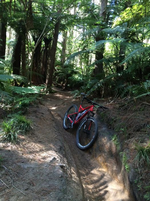 Conrad Stoltz Caveman XTERRA New Zealand Rotorua Specialized Epic single track