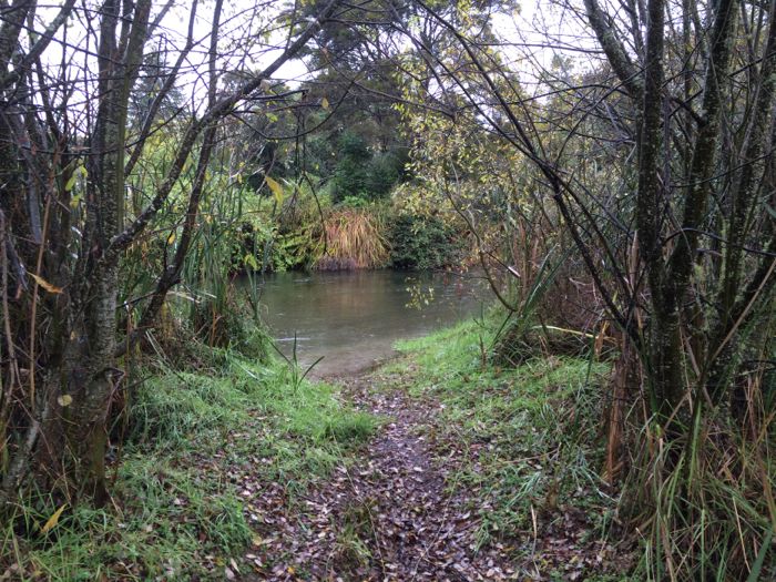 Conrad Stoltz Fly fishing New Zealand Waitahanui river