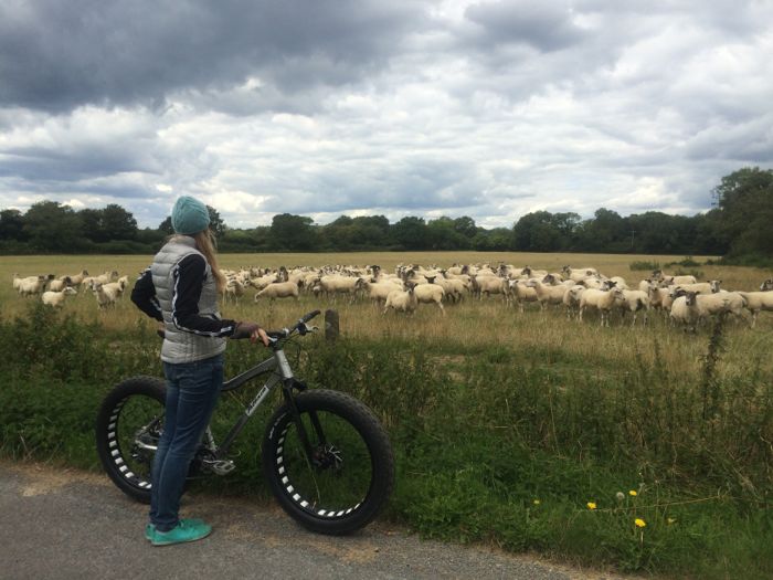 Conrad Stoltz Caveman XTERRA UK 2014 Liezel Stoltz PrincessHotstuuf sheep