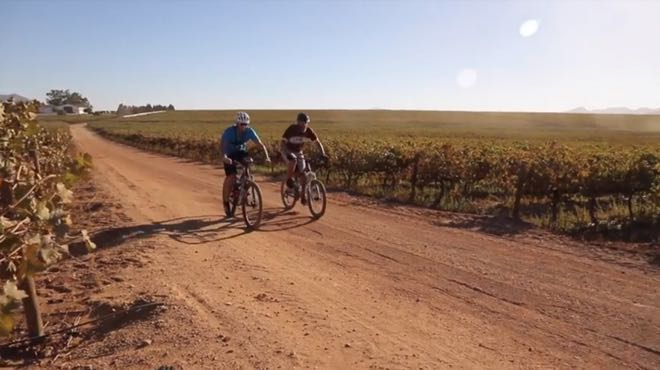 Conrad Stoltz Caveman Meurant Botha Perdeberg Winery MTB vineyards