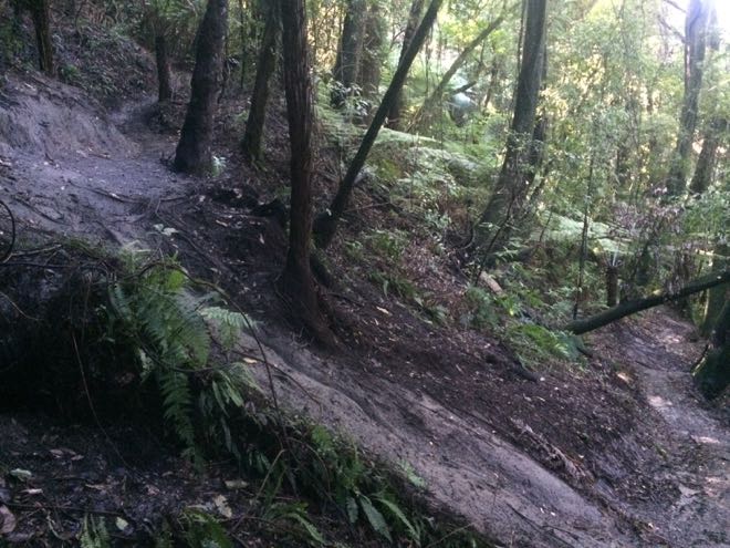 Conrad Stoltz EWS Rotorua single track turn