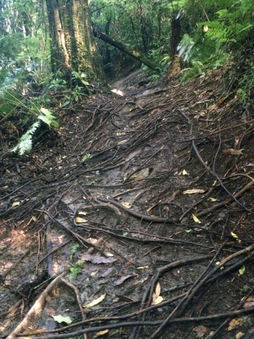 Conrad Stoltz Rotorua EWS single track