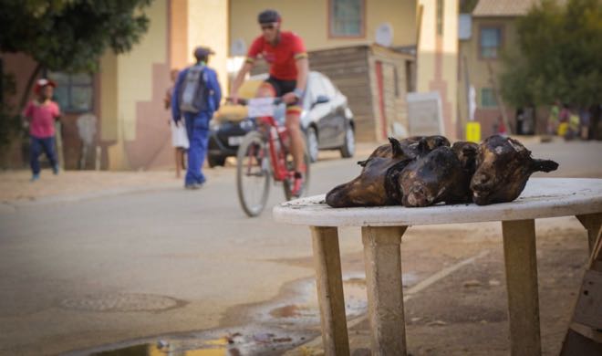 Conrad Stoltz Songo Champions Race Kayamandi roasted goat heads