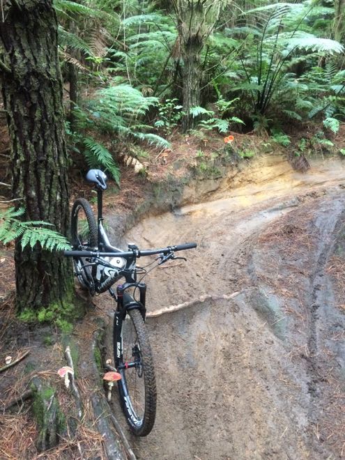 Conrad Stoltz XTERRA Rotorua Specialized Epic