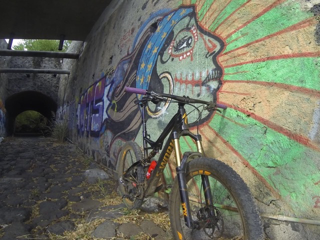 Conrad Stoltz Xterra Reunion Specialized 6fattie graffitti